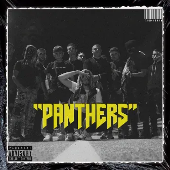 Panthers by DMS 0fficial