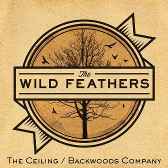 The Ceiling / Backwoods Company by The Wild Feathers