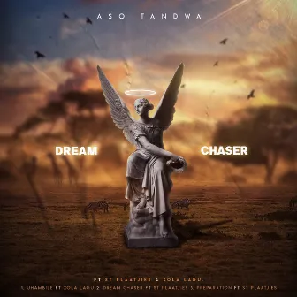 Dream Chaser by Aso Tandwa