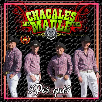 ¿Por Qué? by Los Chacales del Maule