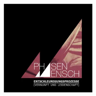 Entschleunigungsprozesse (Vernunft und Leidenschaft) by Phasenmensch