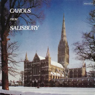 Carols from Salisbury by Richard Seal