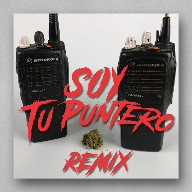 SOY TU PUNTERO - Remix