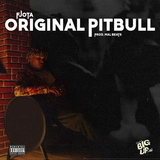 Original Pitbull