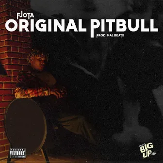 Original Pitbull by FJOTA