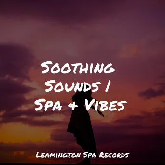 Soothing Sounds | Spa & Vibes by Unknown Artist