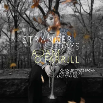 Stranger Days by Adam O'Farrill