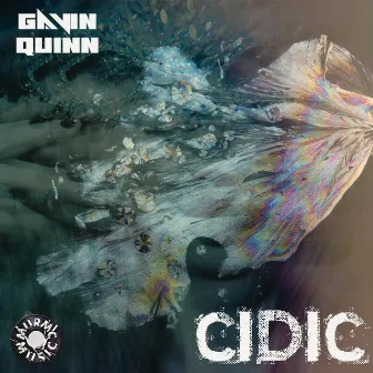 Cidic by Gavin Quinn