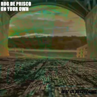 ON YOUR OWN EP (Radio Edit) by Rog De Prisco