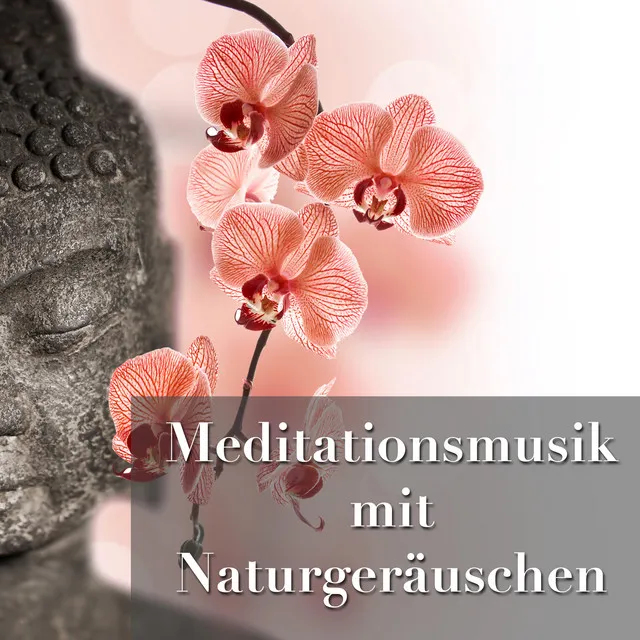 Meditationsmusik mit Naturgeräuschen (regen, Gewitter und Meereswellen ) zu entspannen