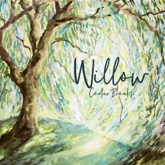 Willow by Cedar Breaks