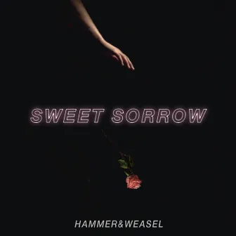 Sweet Sorrow by DJ Hammer