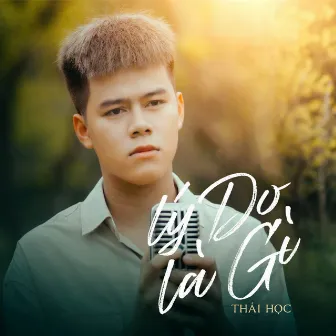 Lý Do Là Gì by Thái Học