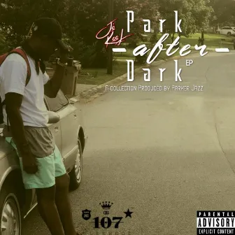 Park After Dark by Jo' Kool