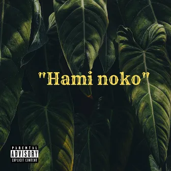 Hami noko by Tee Cee Gh