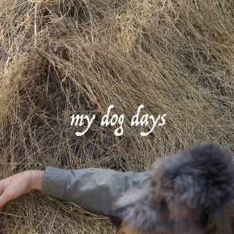 My Dog Days by John Lowell Anderson