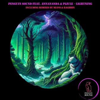 Lightning by Penguin Sound