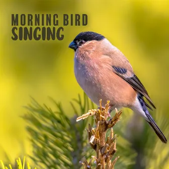 Morning Bird Singing: Positive Start of Your Day with Nature Sounds by Sound of Nature Library