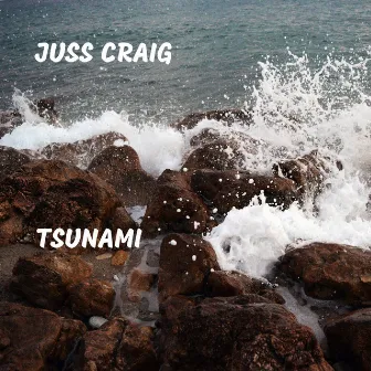 Tsunami by Juss Craig