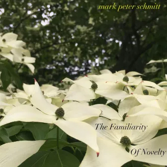 The Familiarity of Novelty by Mark Peter Schmitt