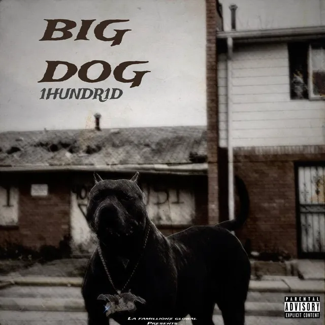 BIG DOG