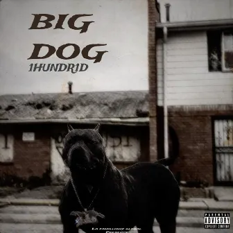 BIG DOG by 1hundr1d