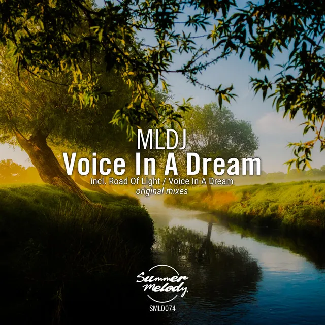 Voice in a Dream - Original Mix