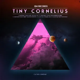 Something's On My Mind by Tiny Cornelius