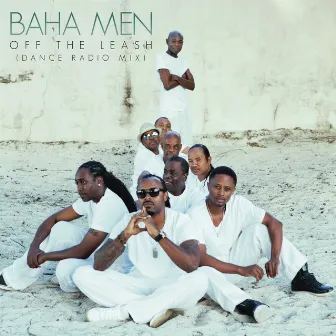 Off the Leash (Dance Radio Mix) by Baha Men