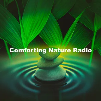 Comforting Nature Radio by Unknown Artist