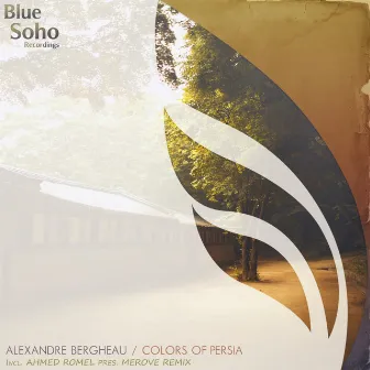 Colors Of Persia by Alexandre Bergheau