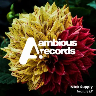 Treasure by Nick Supply