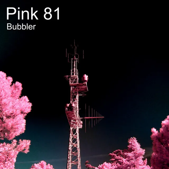 Pink 81 - Instrumental Version