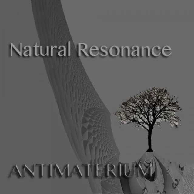 Natural Resonance - Original Mix