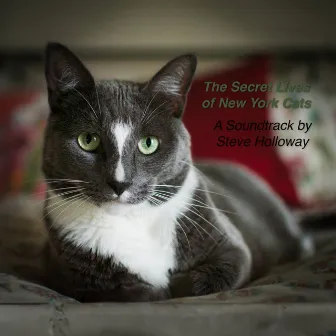 The Secret Lives of New York Cats (A Documentary Soundtrack by Steve Holloway) by Steve Holloway