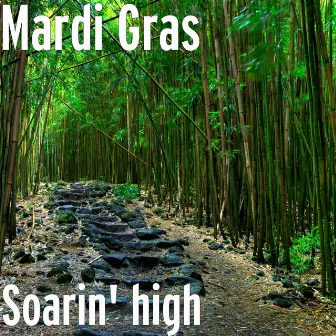 Soarin' high by MARDI GRAS