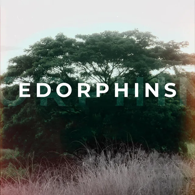 Edorphins