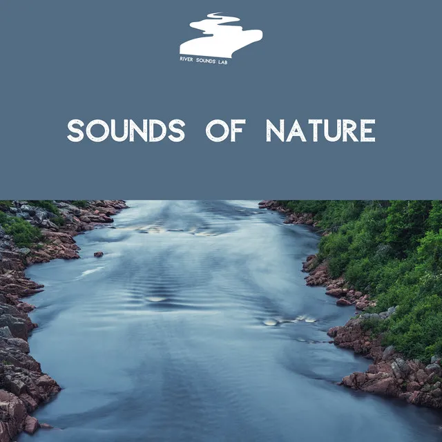 Sounds of Nature: Rivers, Streams and Brooks