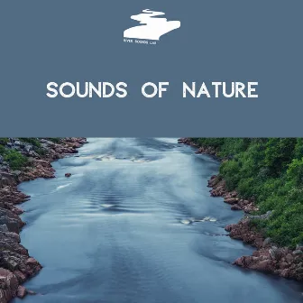 Sounds of Nature: Rivers, Streams and Brooks by River Sounds Lab