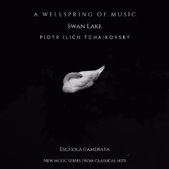 A Wellspring of Music - Swan Lake - Piotr Ilich Tchaikovsky - New Music Series from Classical Hits by Classical Hits