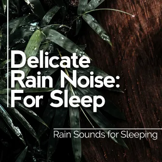 Delicate Rain Noise: For Sleep by Rain Sounds for Sleeping