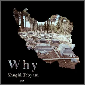 Why by Shoghi Tebyani