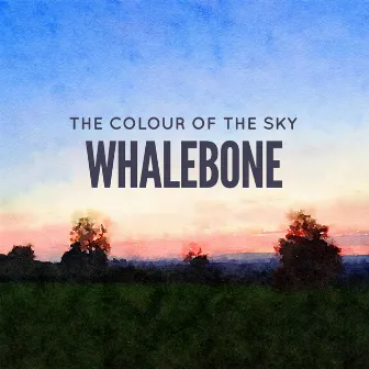 The Colour of the Sky by Whalebone