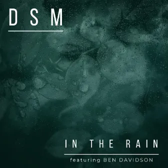 In the Rain by DSM