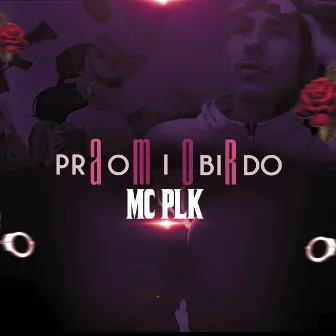 Amor Proibido by MC PLK