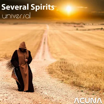 Universal by Several Spirits