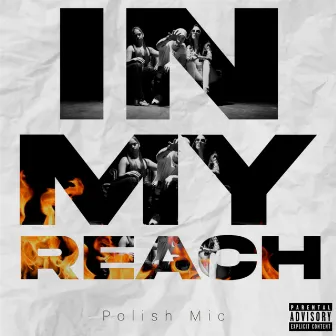 In My Reach by Polish Mic