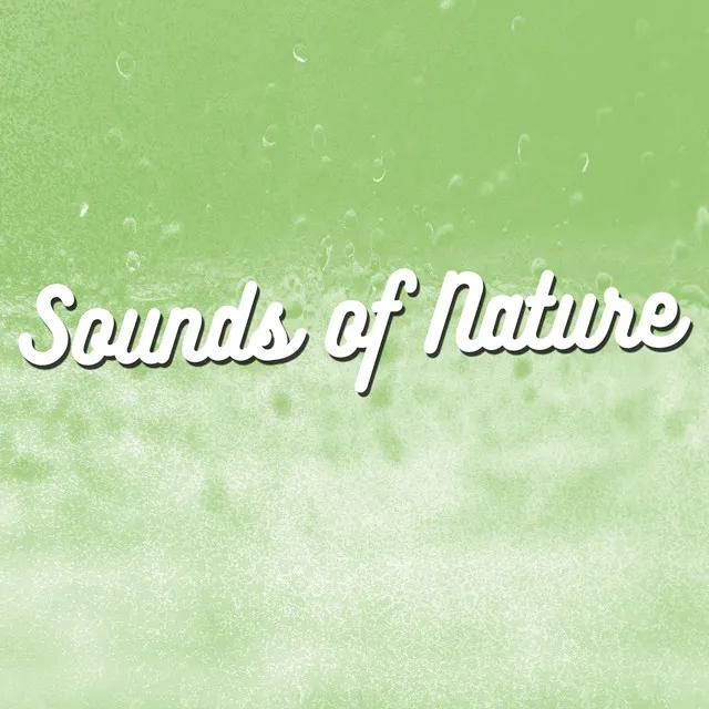 Sounds of Nature