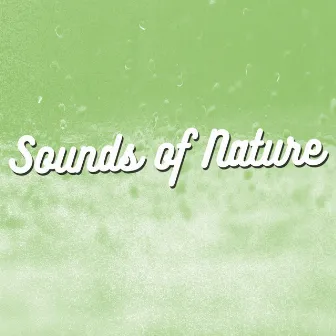 Sounds of Nature by Healing Sounds for Deep Sleep and Relaxation