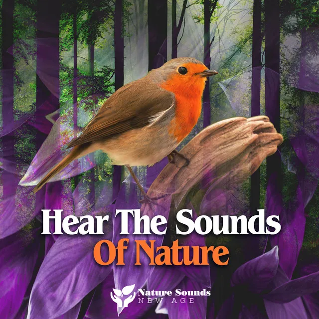 Hear The Sounds Of Nature